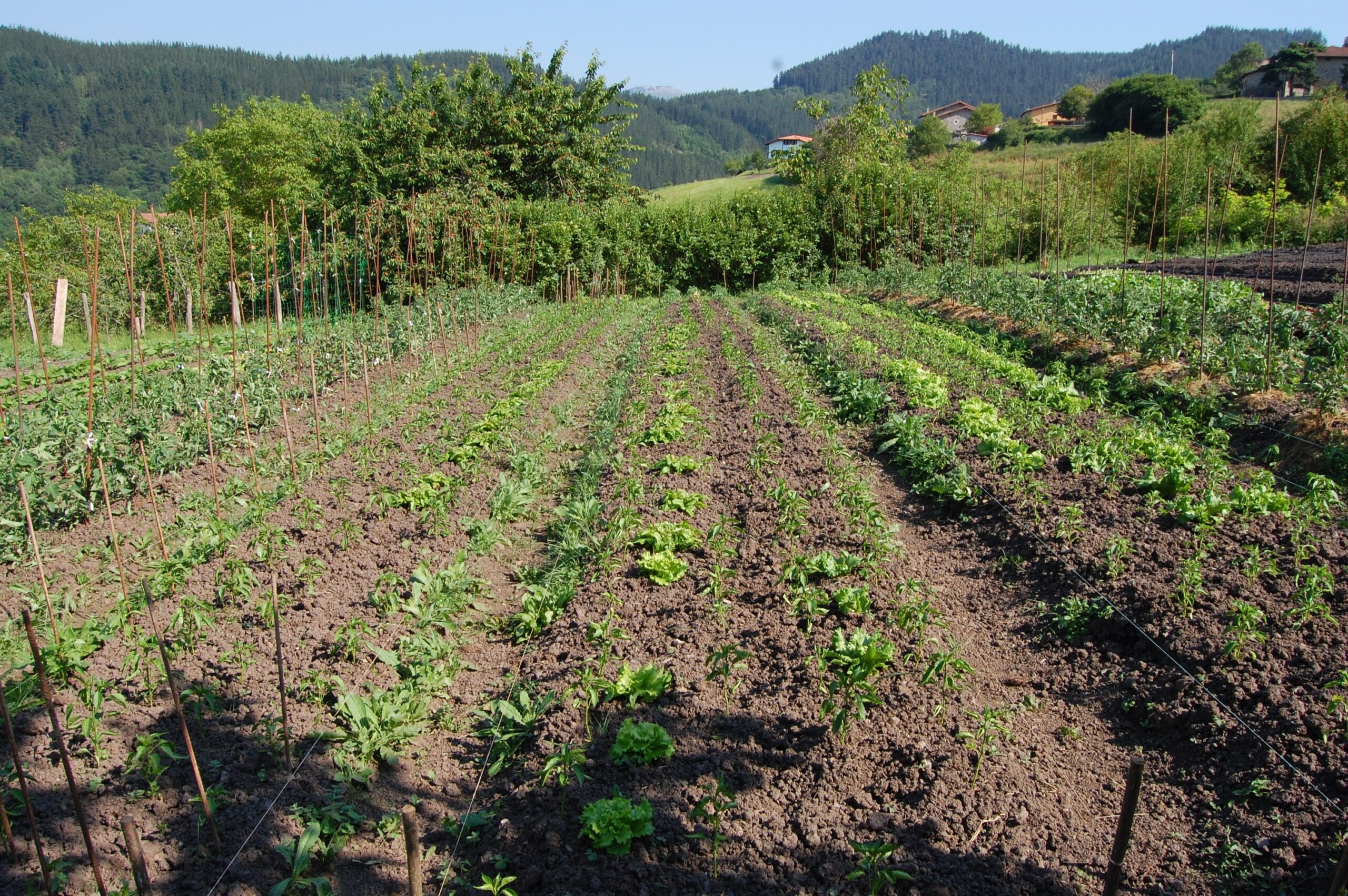 Intereco ha presentado su Informe de Datos 2025